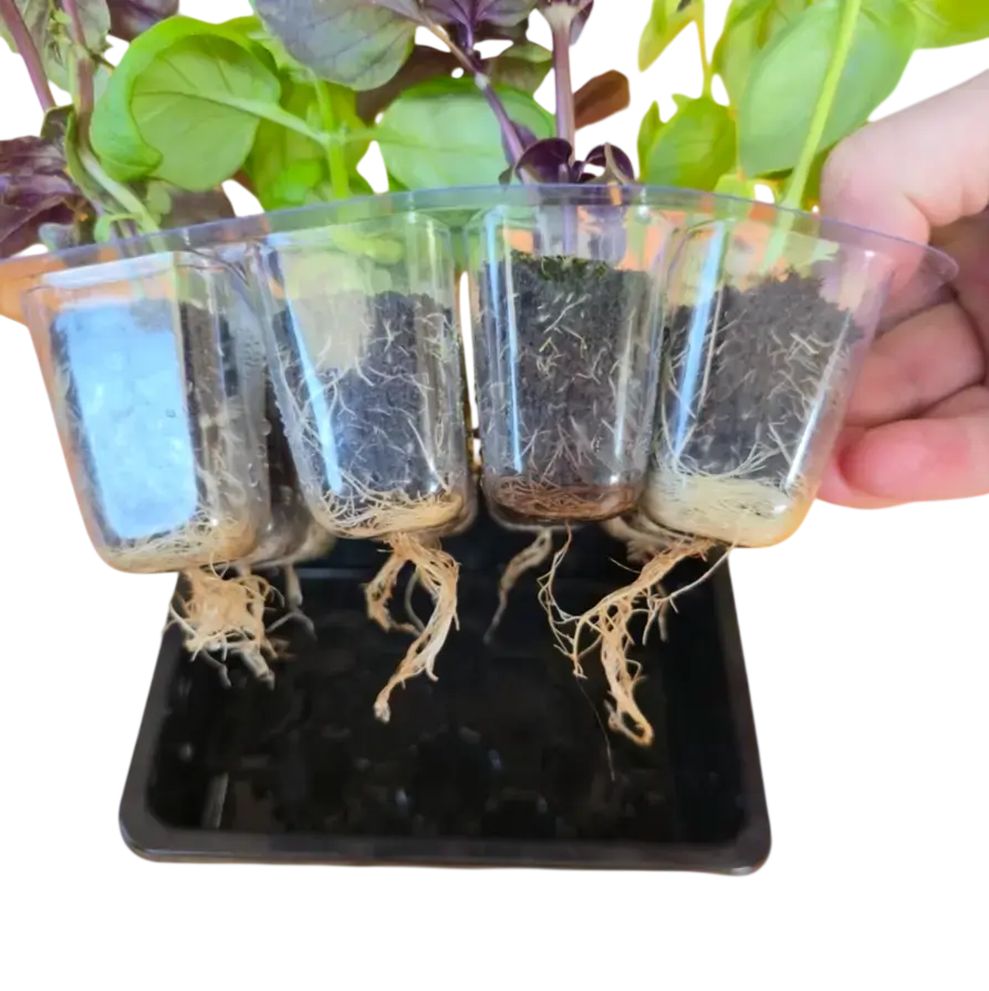 Aquager Technologies Grab & Grow Kit