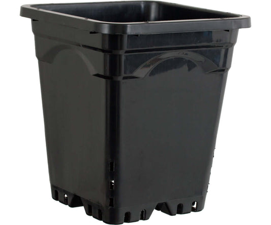 Heavy-duty black 12" x 12" square pot with drainage holes, designed for excellent aeration and durability.