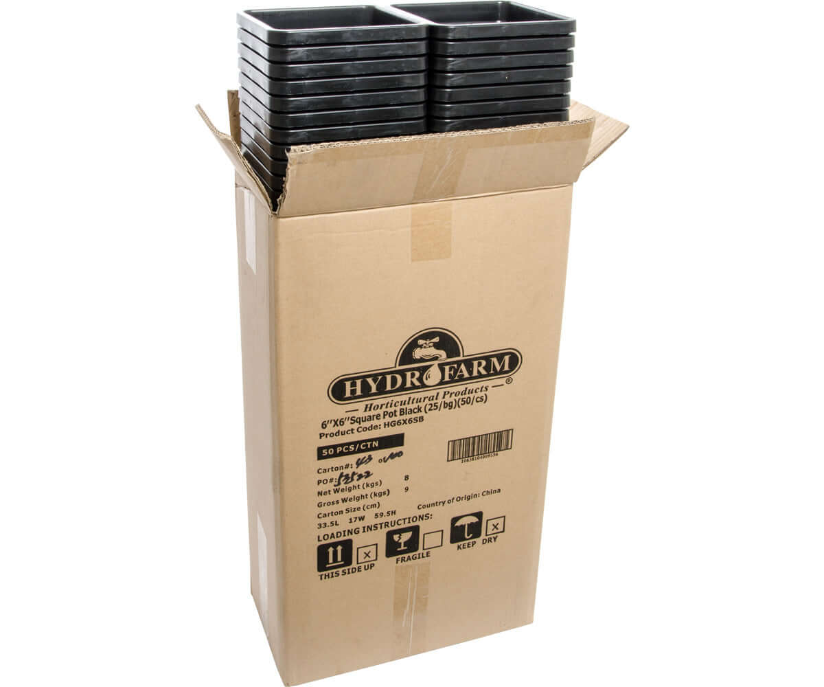 Heavy-duty 6" x 6" black growing pots stacked in a cardboard box from Hydro Farm, designed for optimal plant aeration and drainage.