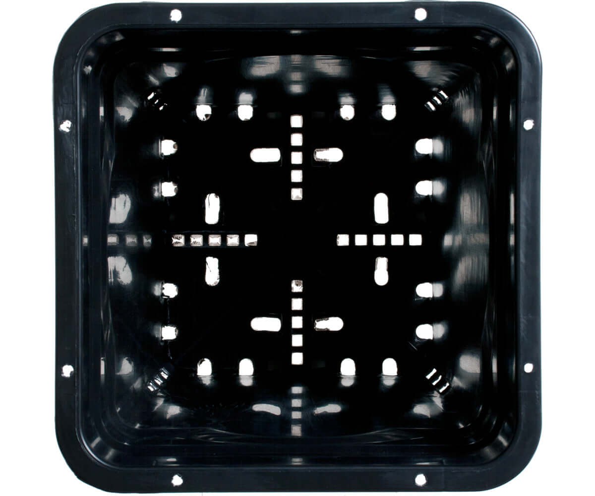 Inside view of Active Aqua 6" x 6" black square pot showcasing drainage holes for optimal aeration.