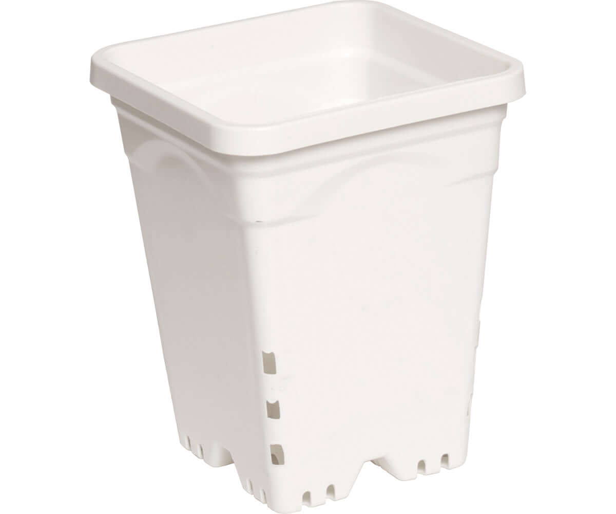 Active Aqua 6-inch square white pot, 8 inches tall, designed for optimal aeration and drainage for plants. Case of 50.