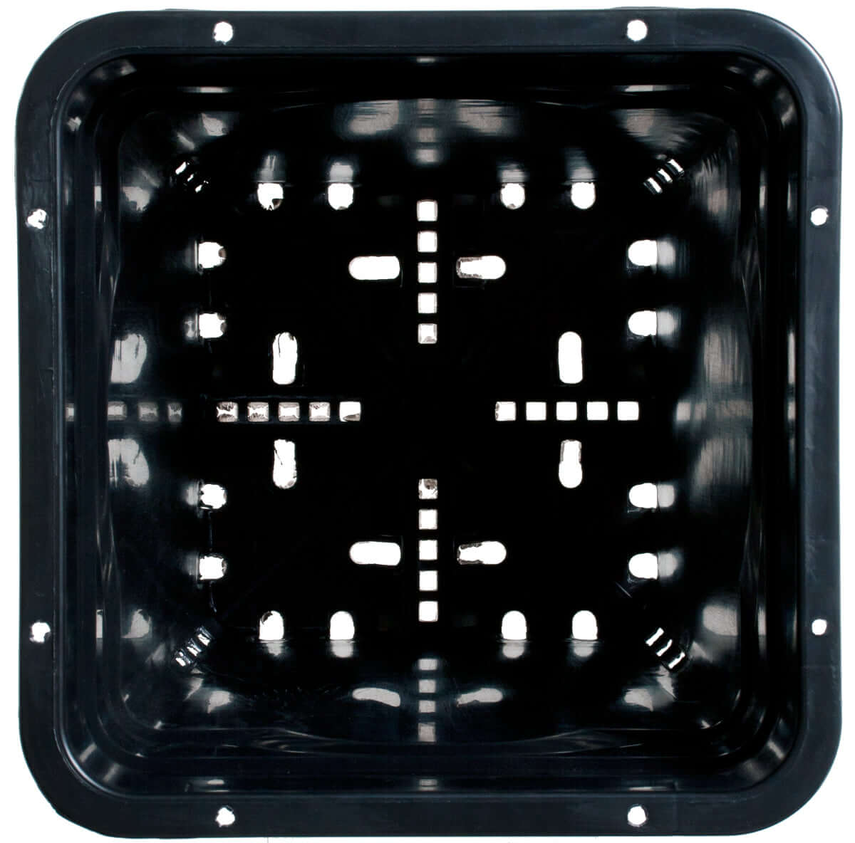 Heavy duty 9" x 9" square black pot with multi-drainage holes for optimal aeration and root zone health.