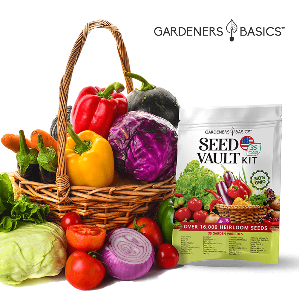 Gardeners Basics Vegetable Seed Vault Kit | 35 Variety Pack