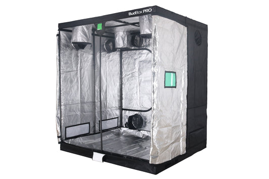 BudBox Pro GT-2 Silver 180x220x240cm (6'x7'4''x8')