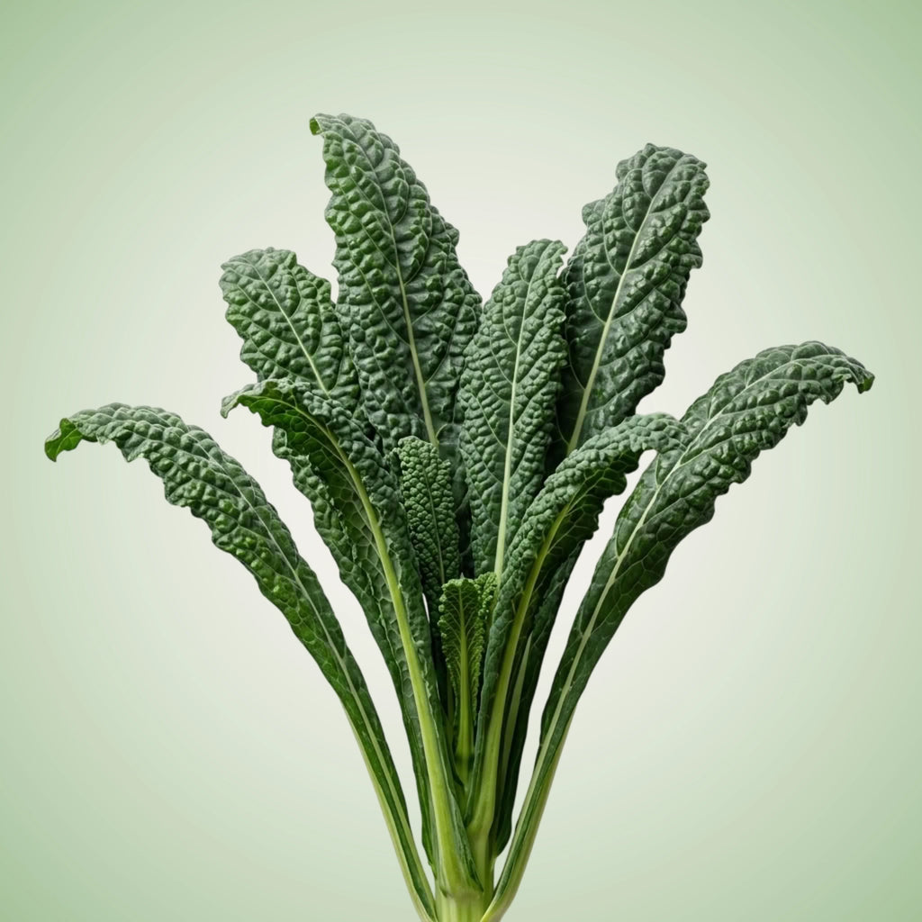 Aquager Technologies Kale (Mamba) (4x)