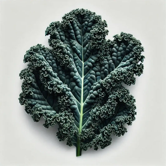 Aquager Technologies Kale (Mamba) (4x)