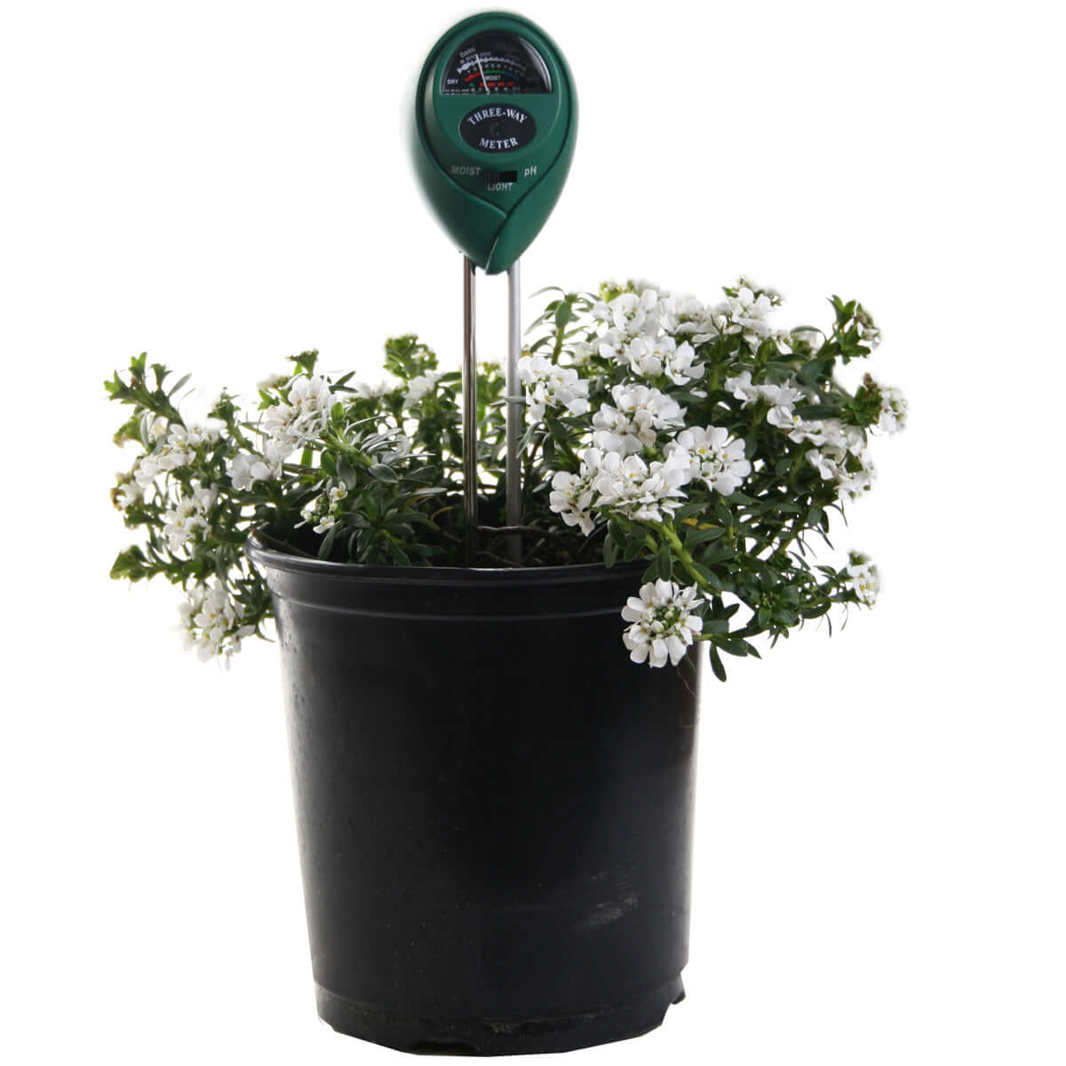 Active Air 3-Way Meter testing moisture in a flowering plant pot with white flowers.