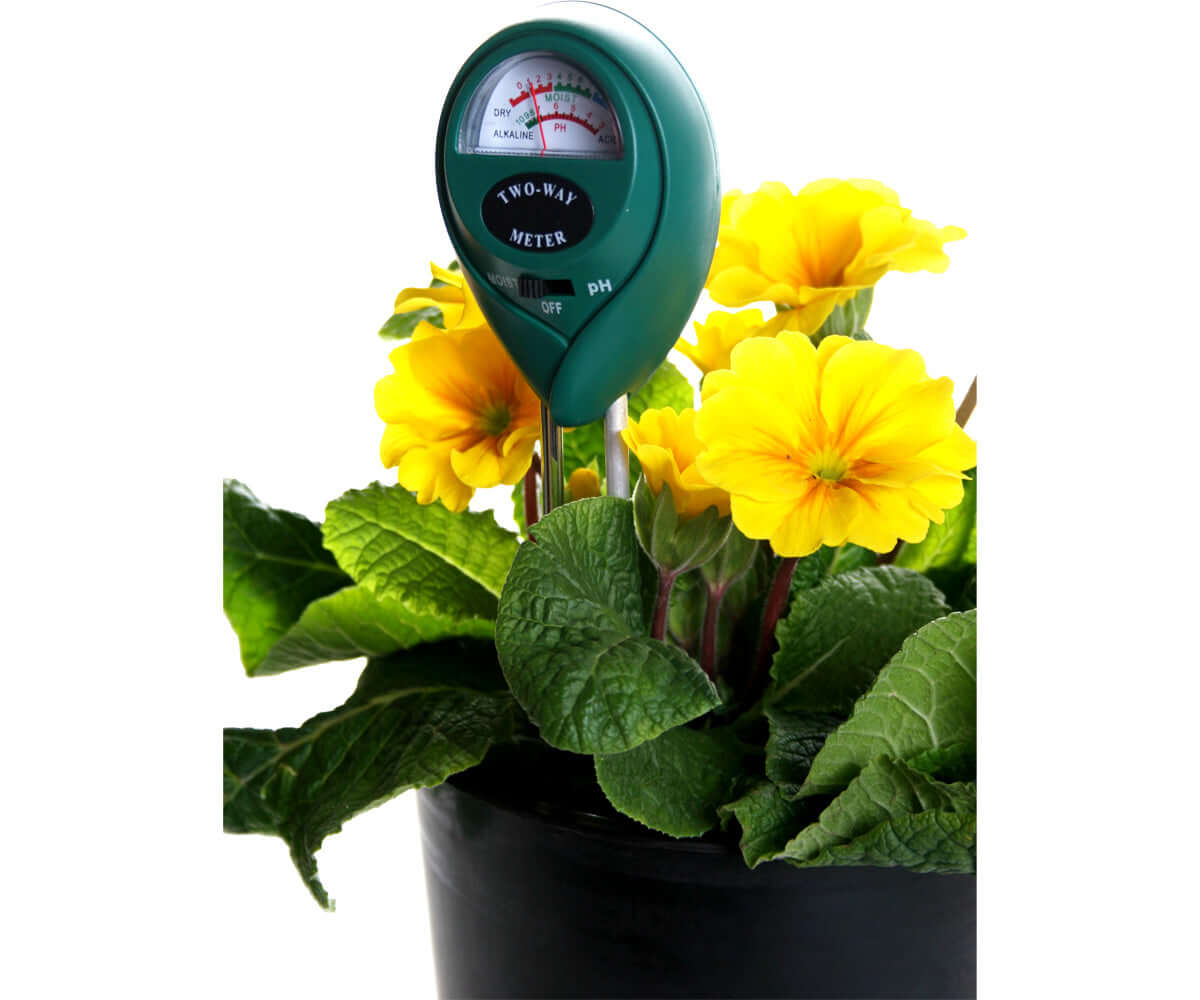 Active Air 2-Way moisture and pH meter inserted in a potted plant with yellow flowers, designed for gardening use.