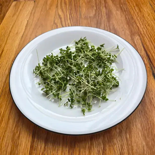 Aquager Technologies Mustard (Red Giant)