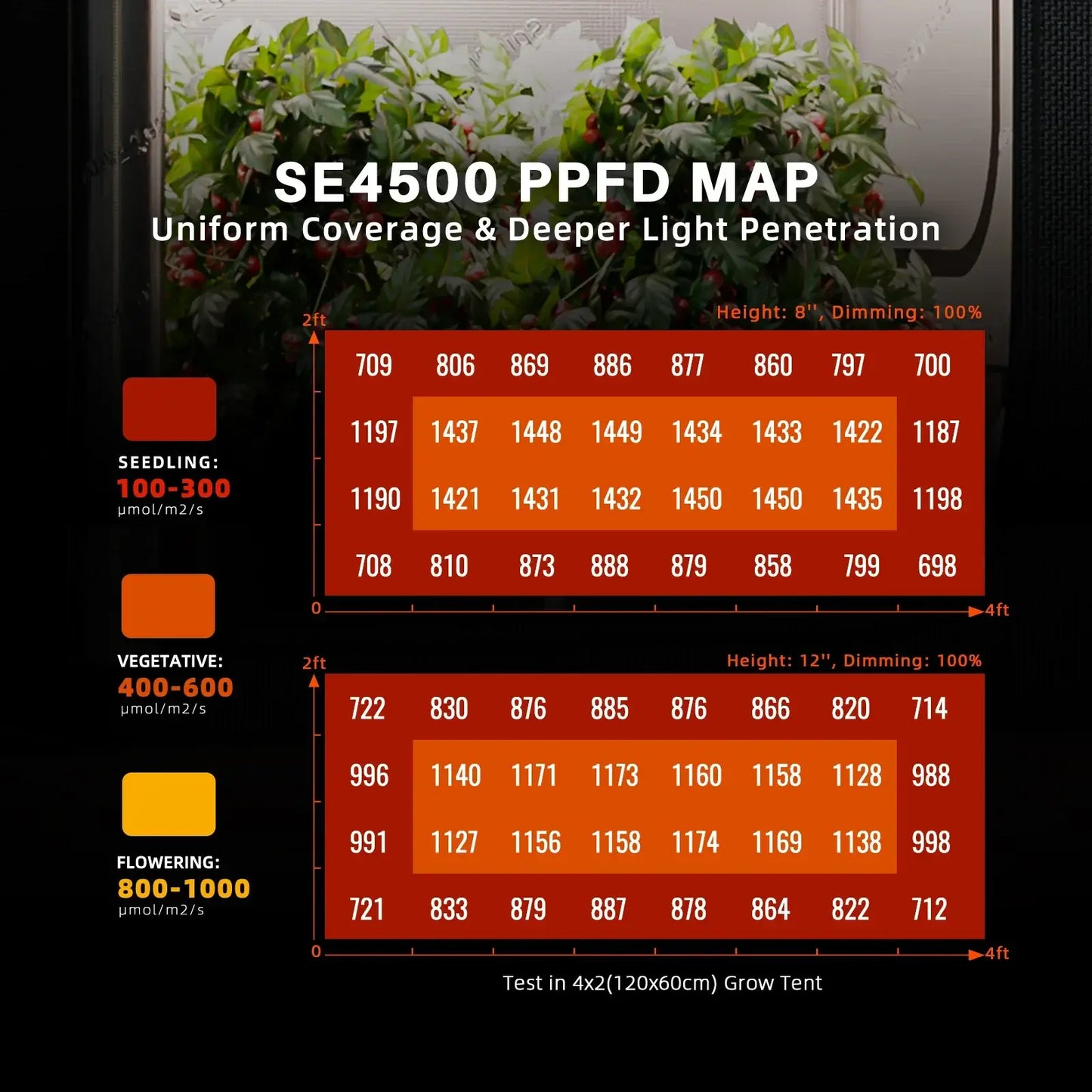 PPFD map for SE4500 LED grow light showing light distribution for seedling, vegetative, and flowering stages.