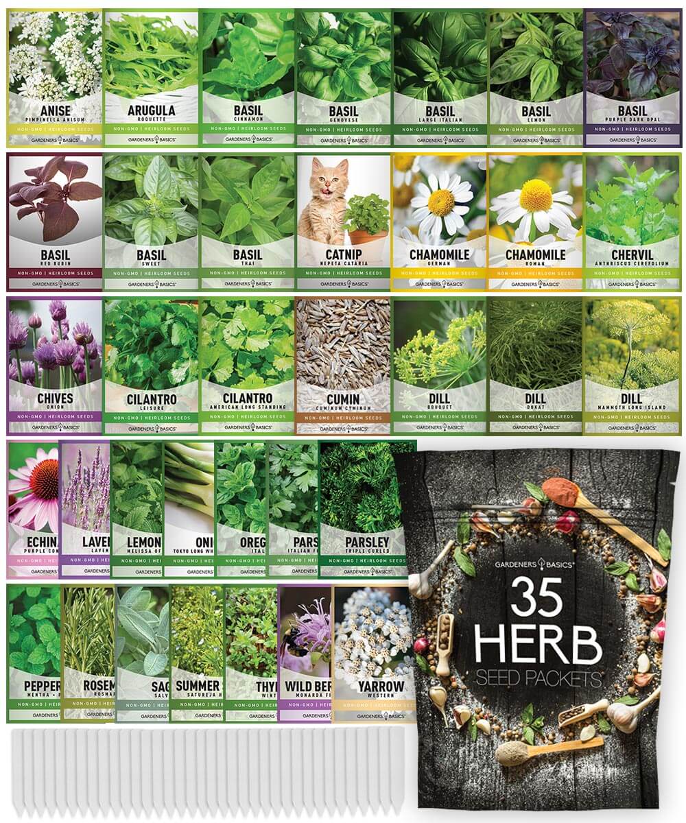 Gardeners Basics Popular Herb Seeds for Planting | 35 Variety Pack