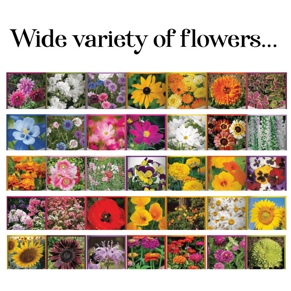 Gardeners Basics Wildflower, Perennial, & Annual Flower Seed Kit | 35 Variety Pack