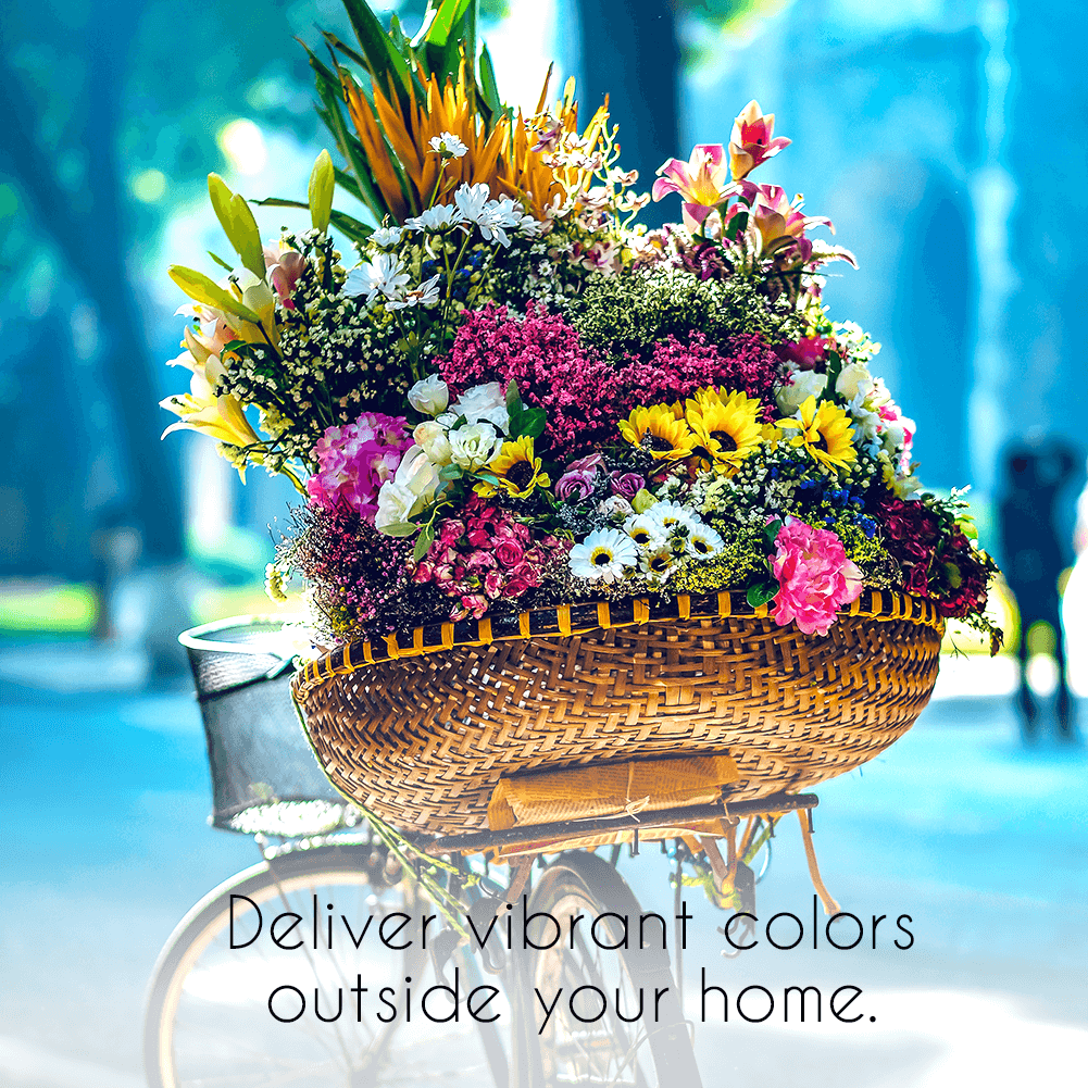 Gardeners Basics Wildflower, Perennial, & Annual Flower Seed Kit | 35 Variety Pack