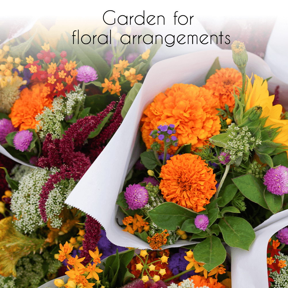 Gardeners Basics Wildflower, Perennial, & Annual Flower Seed Kit | 35 Variety Pack