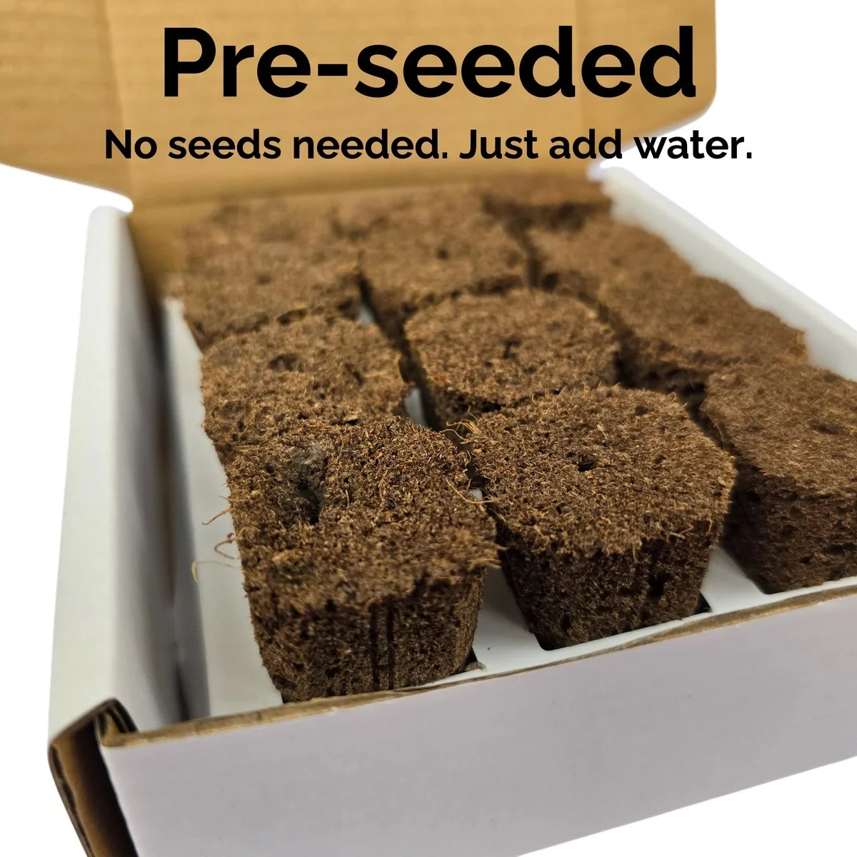 Aquager Technologies Pepper (Early JalapenÌƒo) (4x)