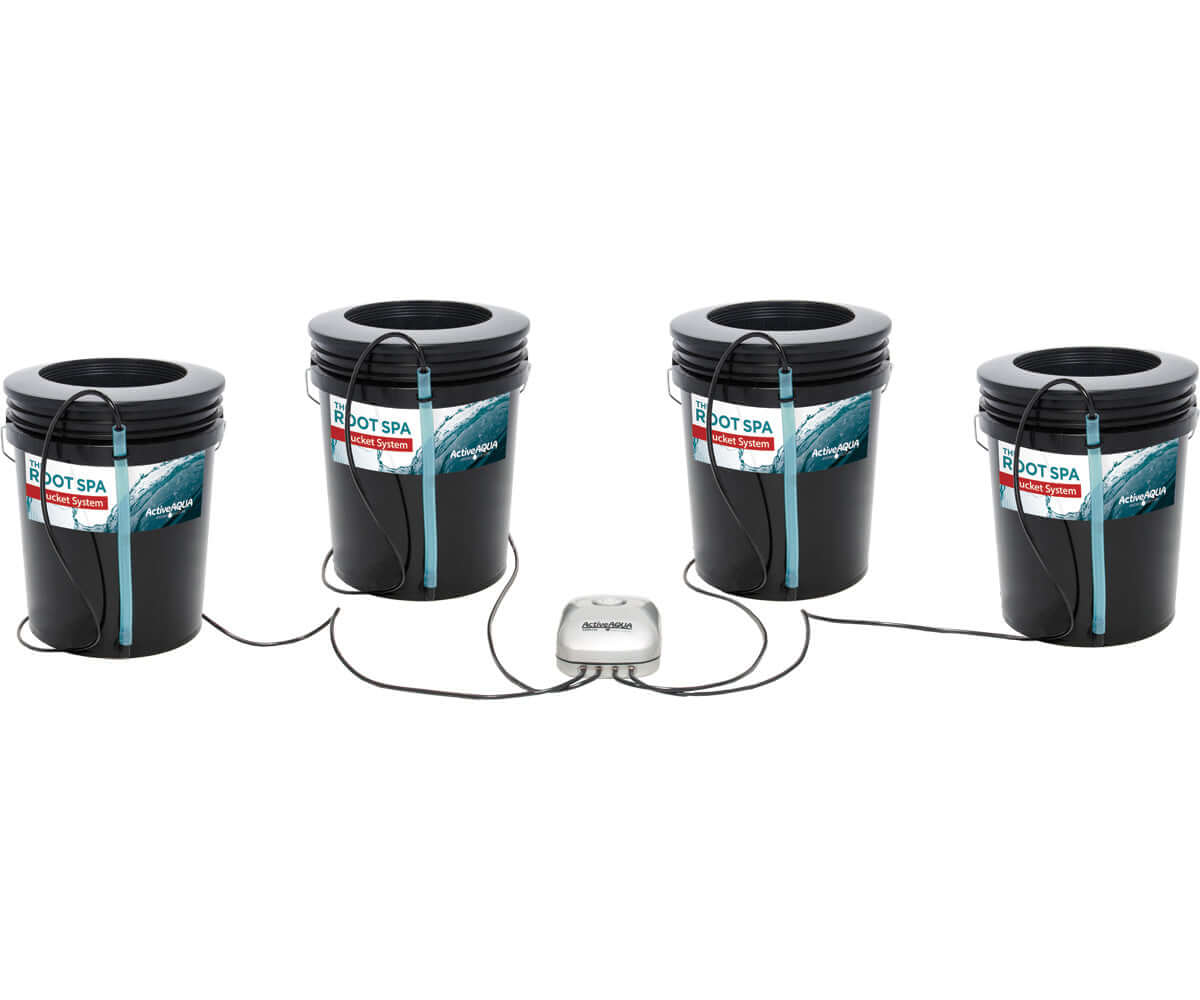 Active Aqua Root Spa 5-gallon deep water culture bucket system with four buckets and air pump setup.