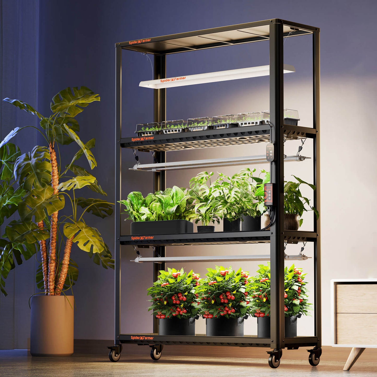 Spider Farmer SF600 and Growshelves Combo - Indoor LED Grow Light and Metal Plant Stand with Plant Trays