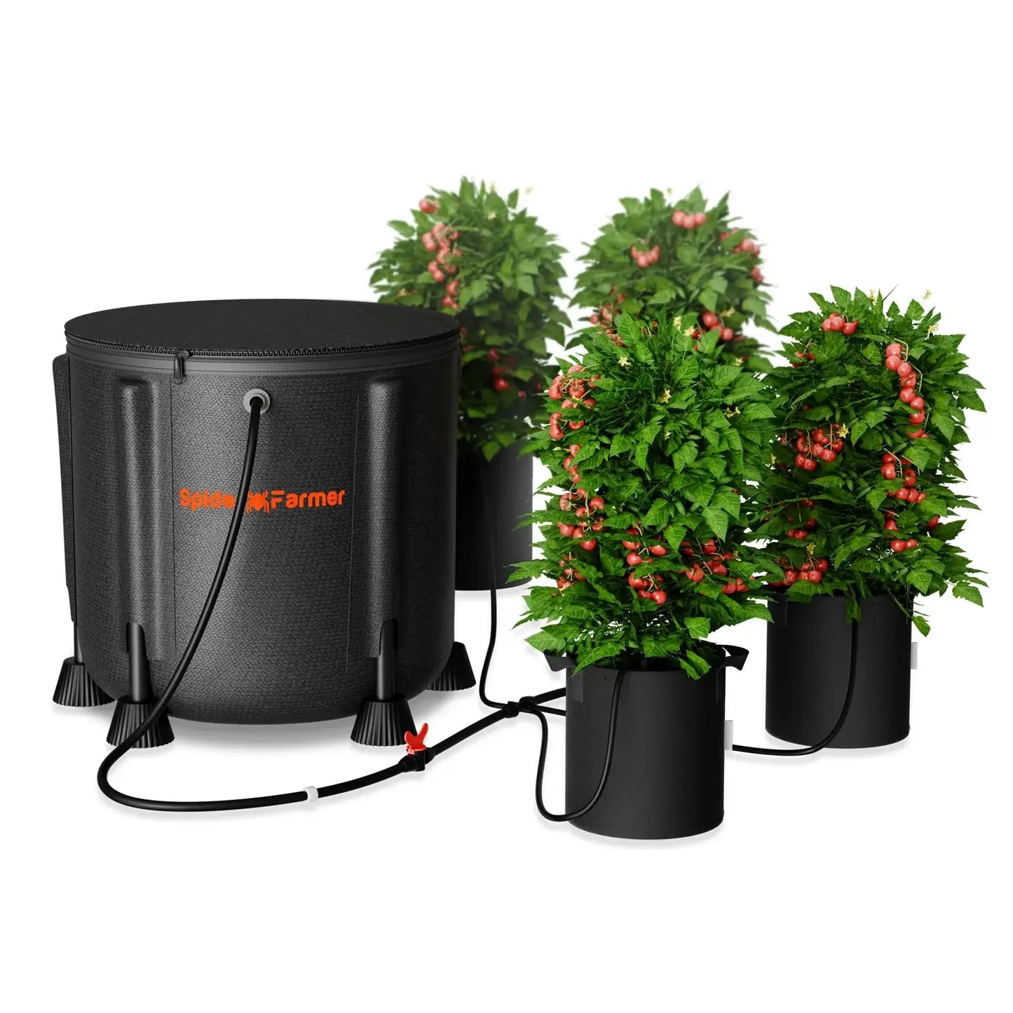 Spider Farmer automatic drip irrigation system with water pump and plants in black containers for efficient watering.