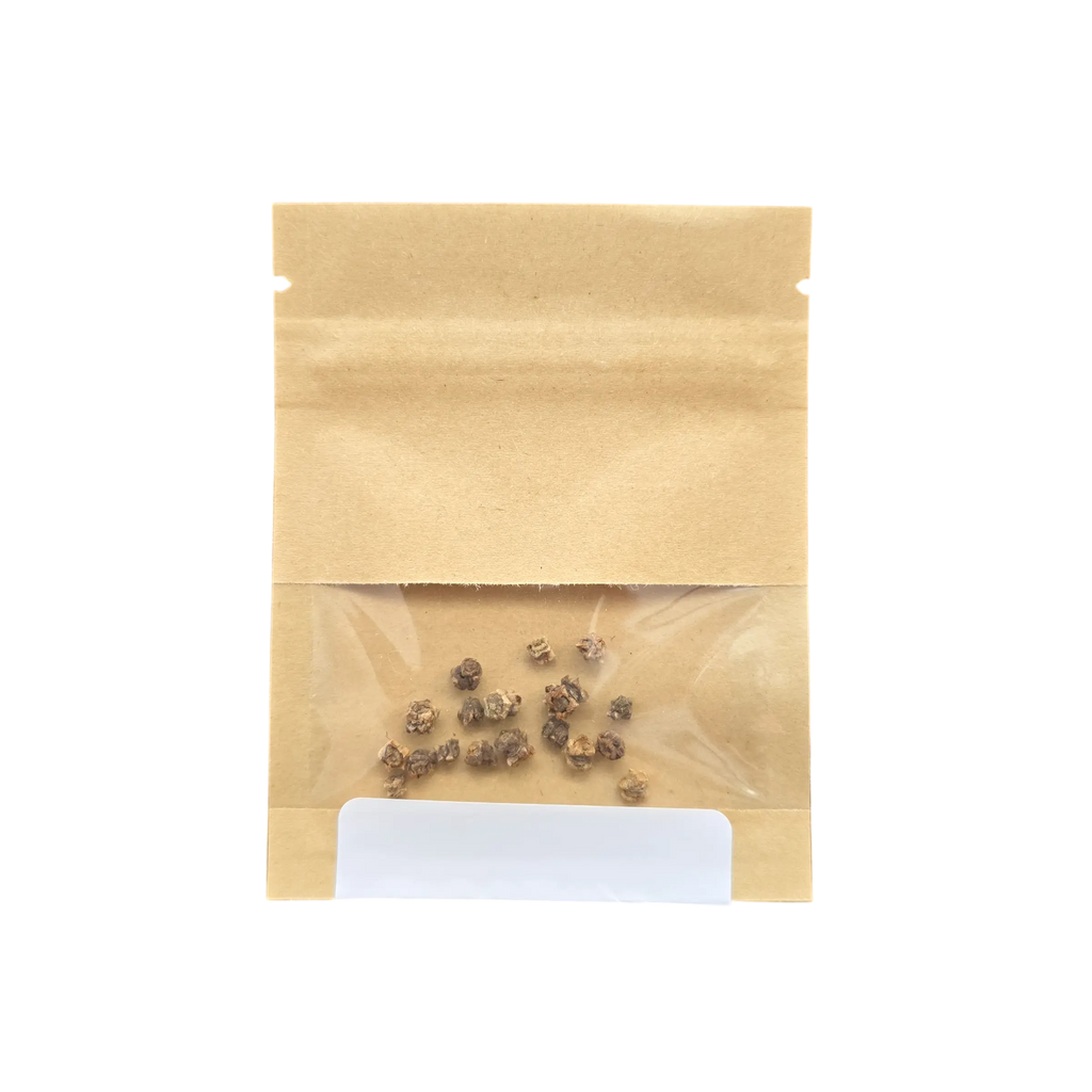 Aquager Technologies Chervil (Fine Curled) (4x)