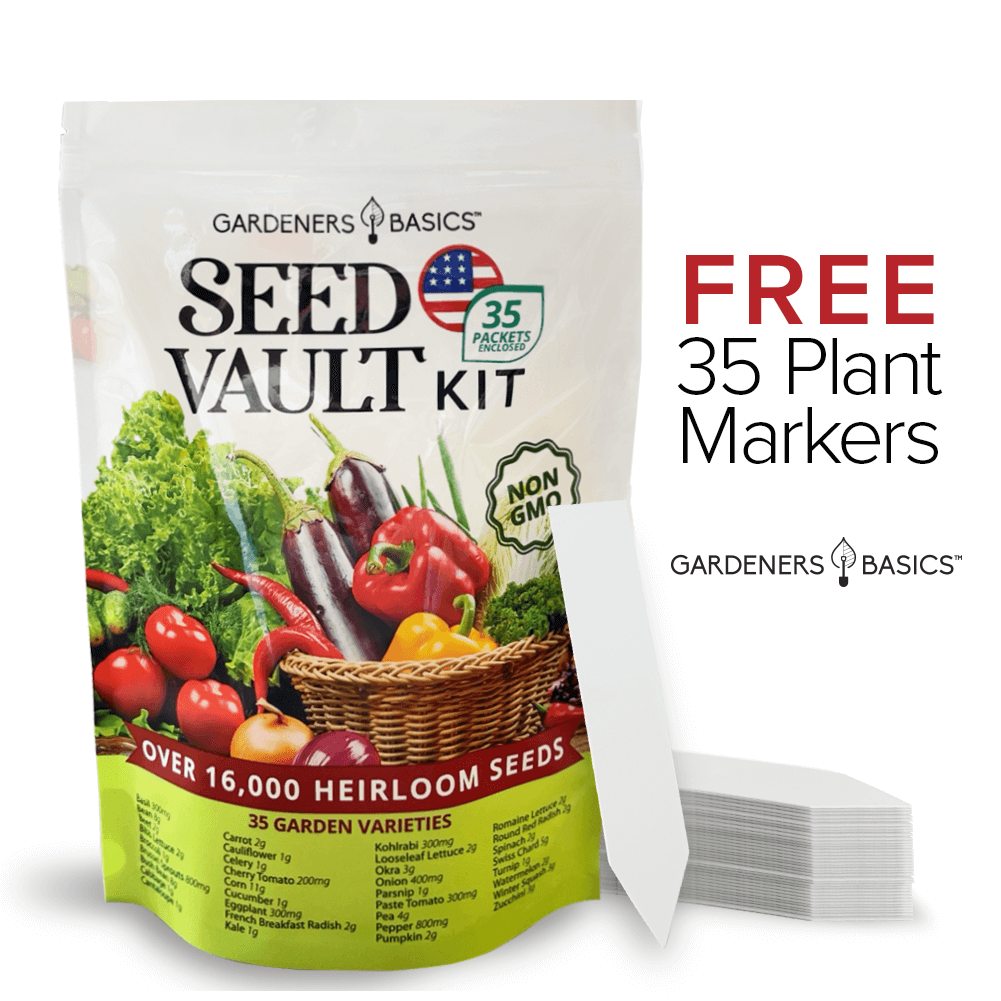 Gardeners Basics Vegetable Seed Vault Kit | 35 Variety Pack