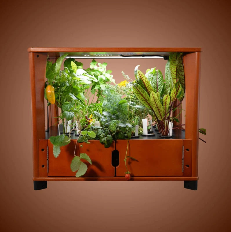 Aquager Technologies Hydroponic Home Farm