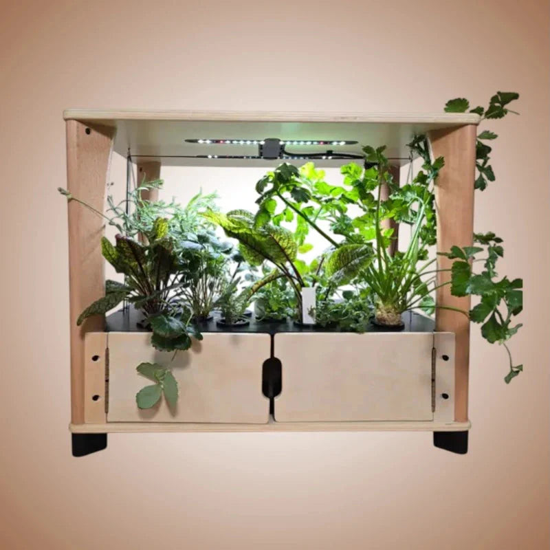 Aquager Technologies Hydroponic Home Farm