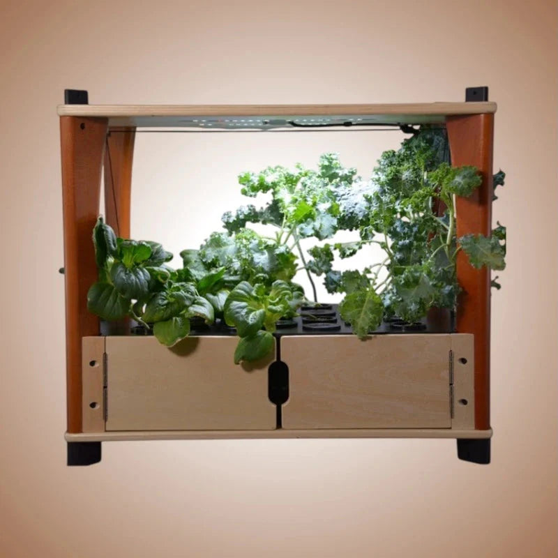 Aquager Technologies Hydroponic Home Farm
