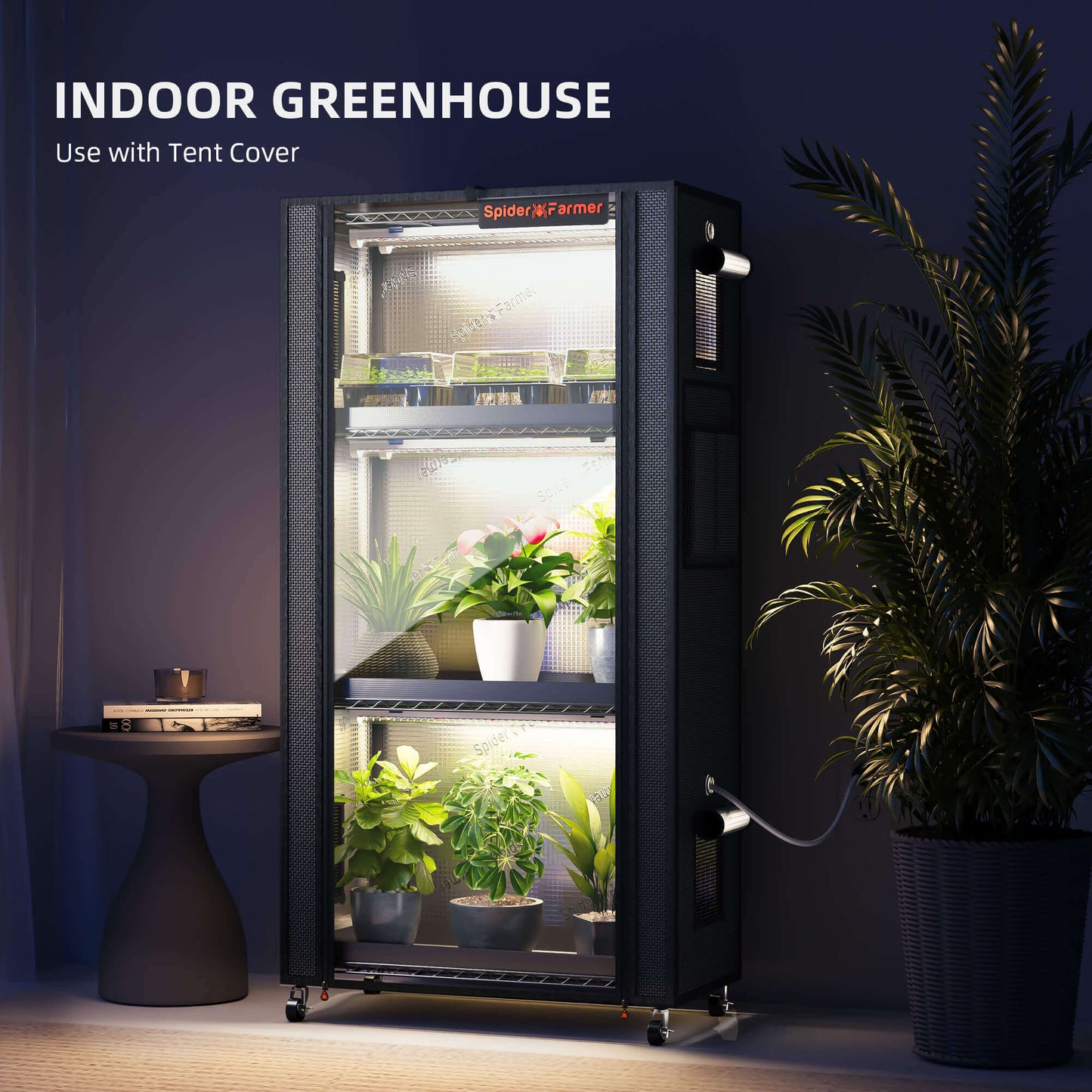 Spider Farmer indoor greenhouse setup with tent cover, featuring adjustable shelves and LED grow lights for plant growth.
