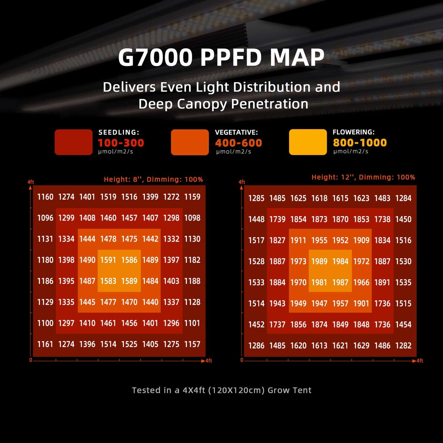 G7000 PPFD map showing light distribution and canopy penetration for seedling, vegetative, and flowering stages.