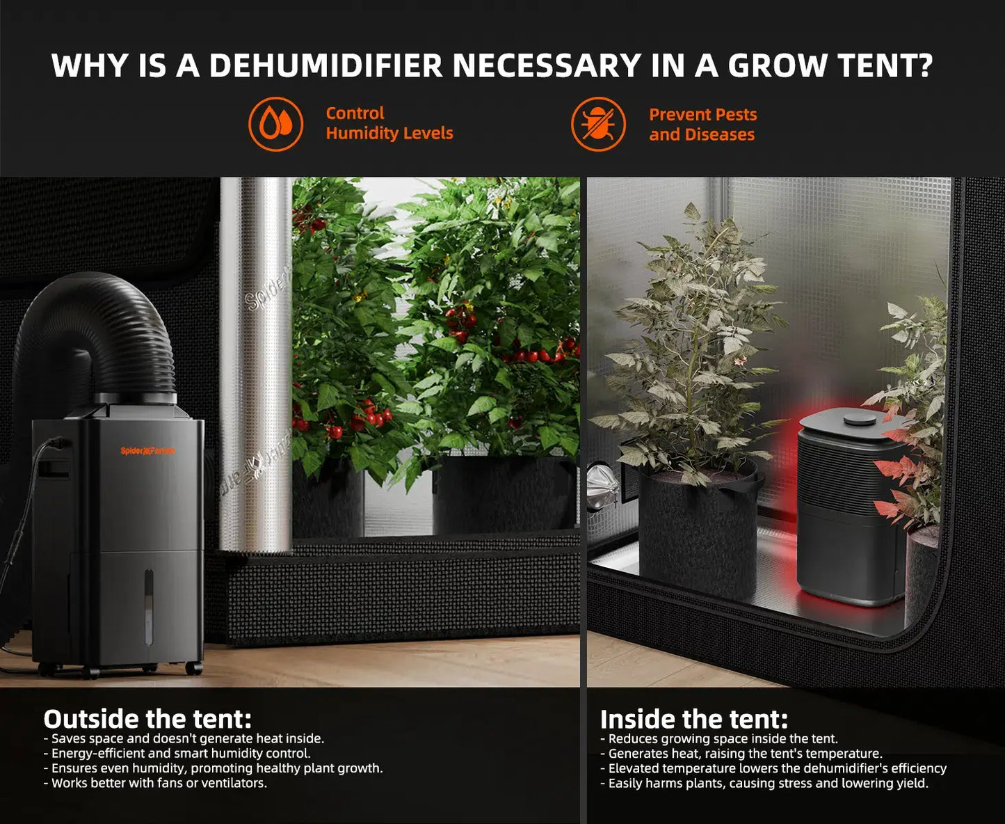 Comparison of benefits of a dehumidifier in a grow tent vs outside, highlighting humidity control and plant health.
