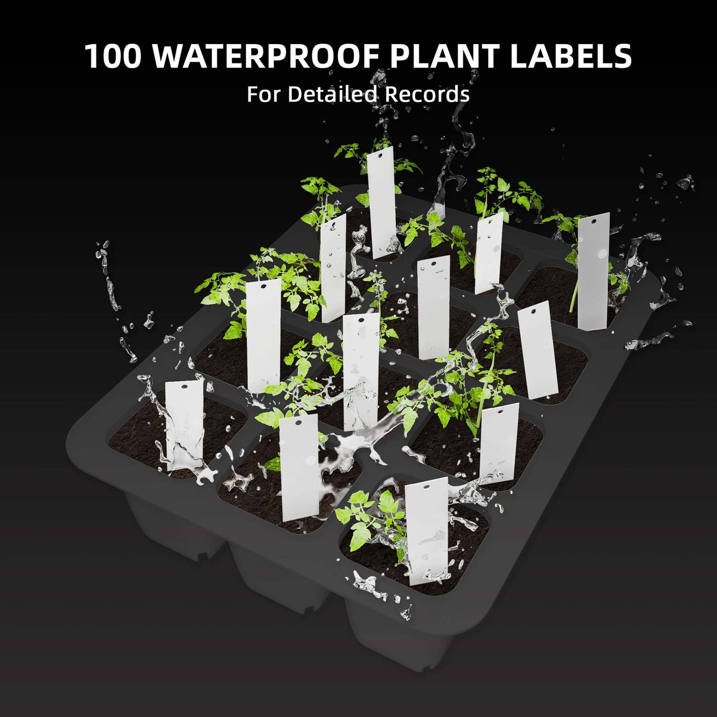 100 waterproof plant labels for detailed plant records in a growing tray with seedlings.
