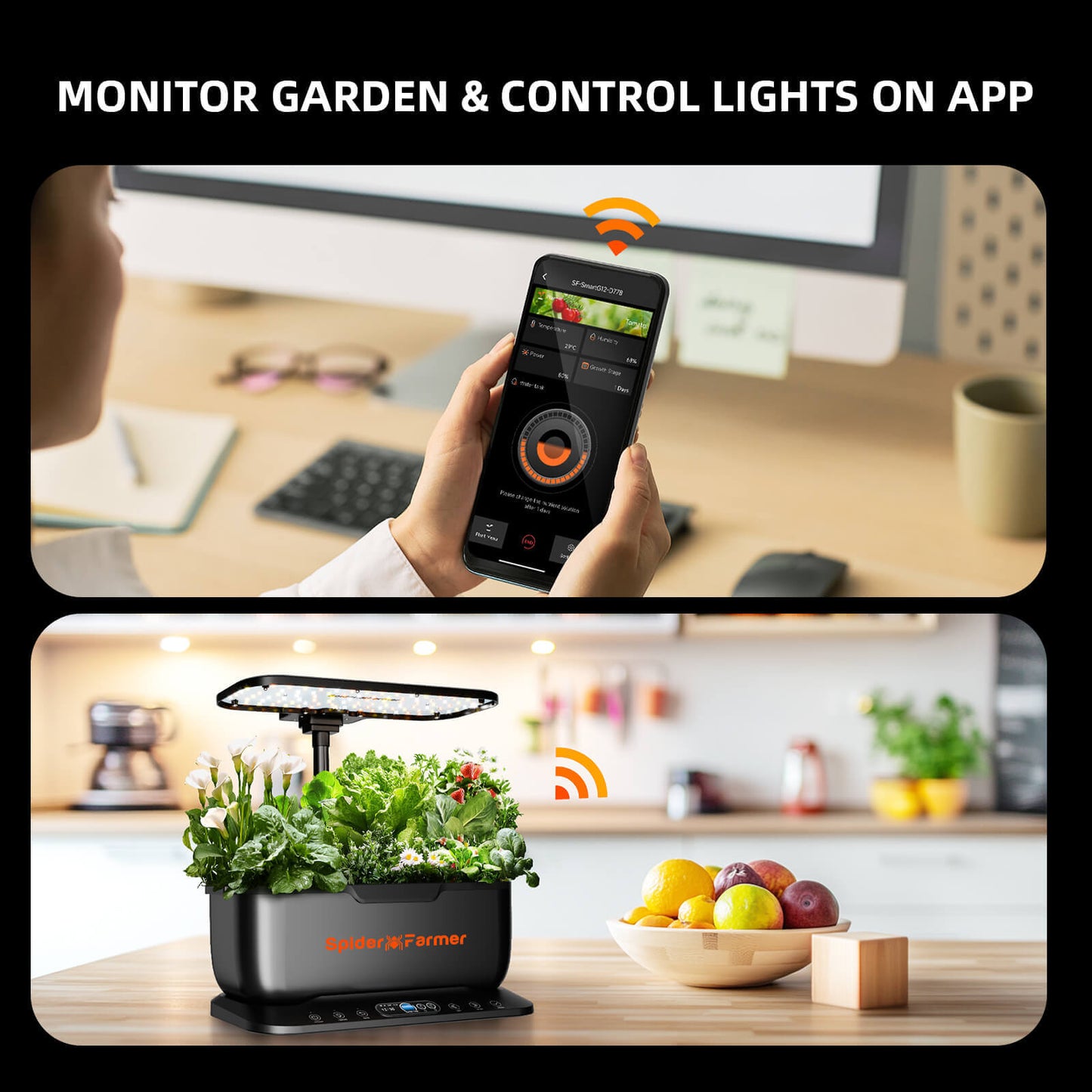 Person using an app to monitor Spider Farmer hydroponics system with greenery on a kitchen counter.