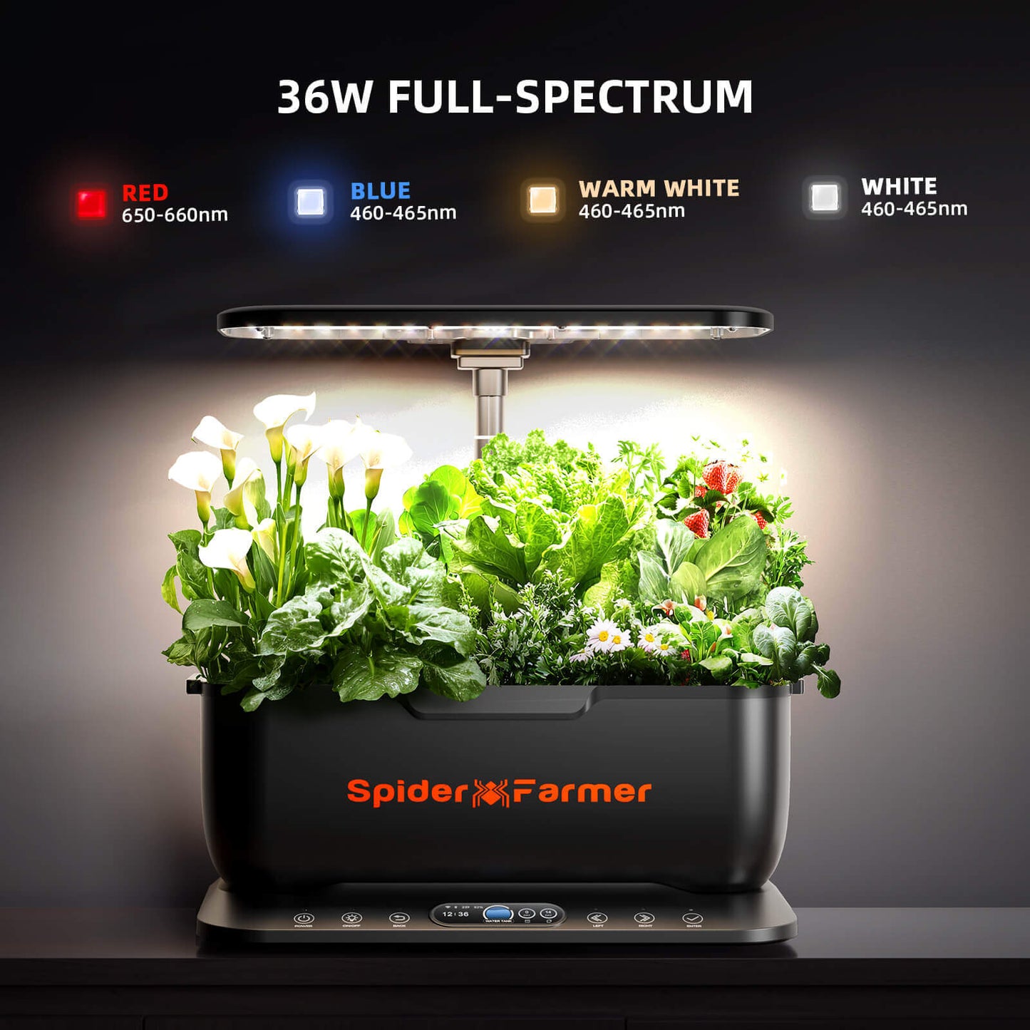 Spider Farmer hydroponics system with full-spectrum lights growing vibrant plants indoors.