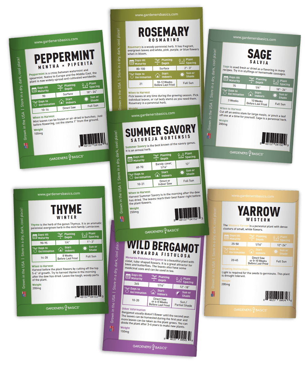 Gardeners Basics Popular Herb Seeds for Planting | 35 Variety Pack