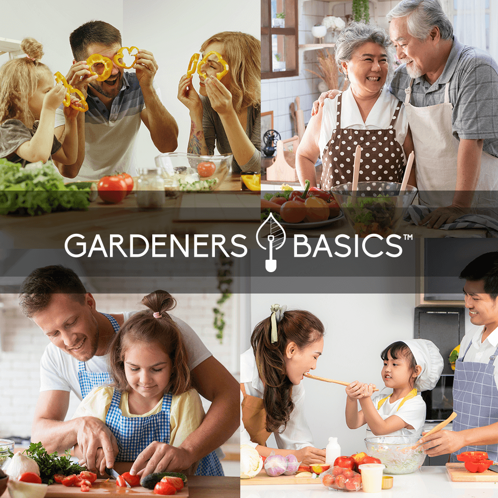 Gardeners Basics Vegetable Seed Vault Kit | 35 Variety Pack