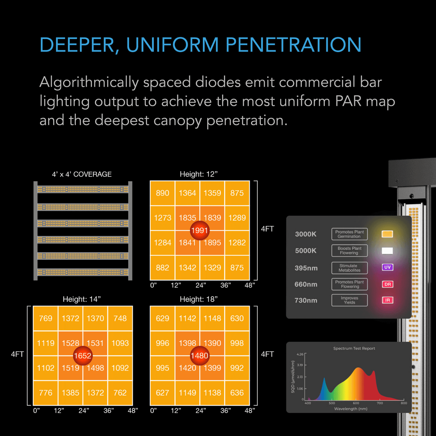 LED grow light diagram showing uniform PAR map and deep canopy penetration.