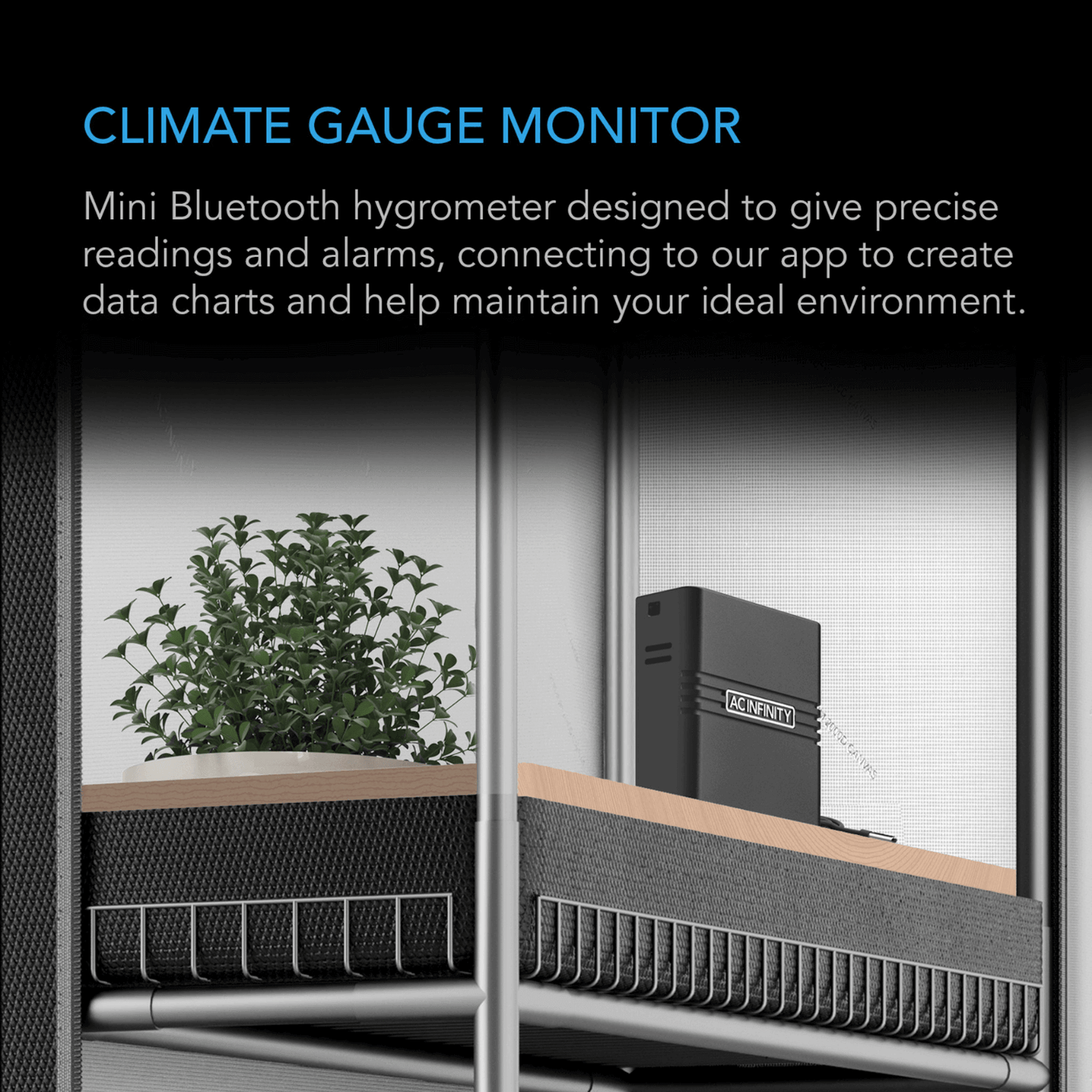 Mini Bluetooth hygrometer monitoring climate with app connectivity for data charts and ideal environment maintenance.