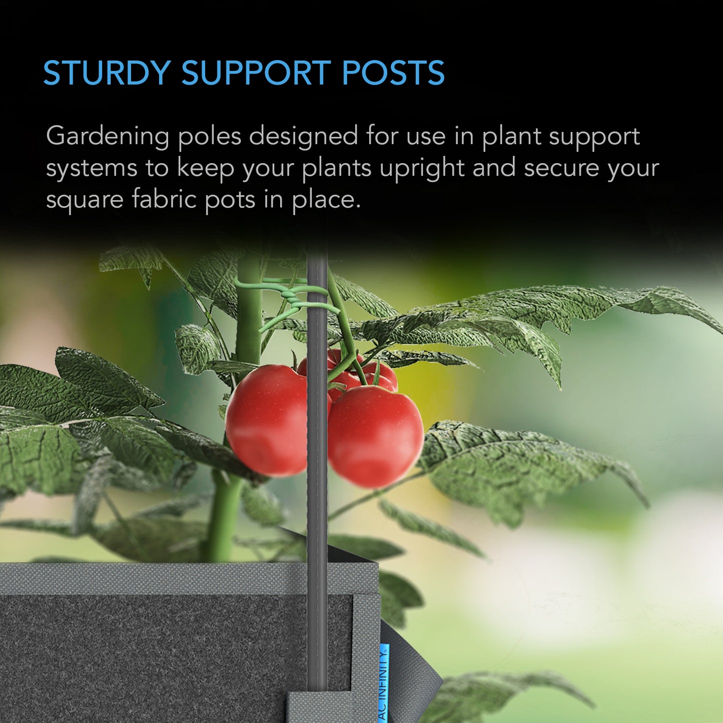 AC Infinity Garden Plant Stakes 3 Feet Long 25-Pack product image 2