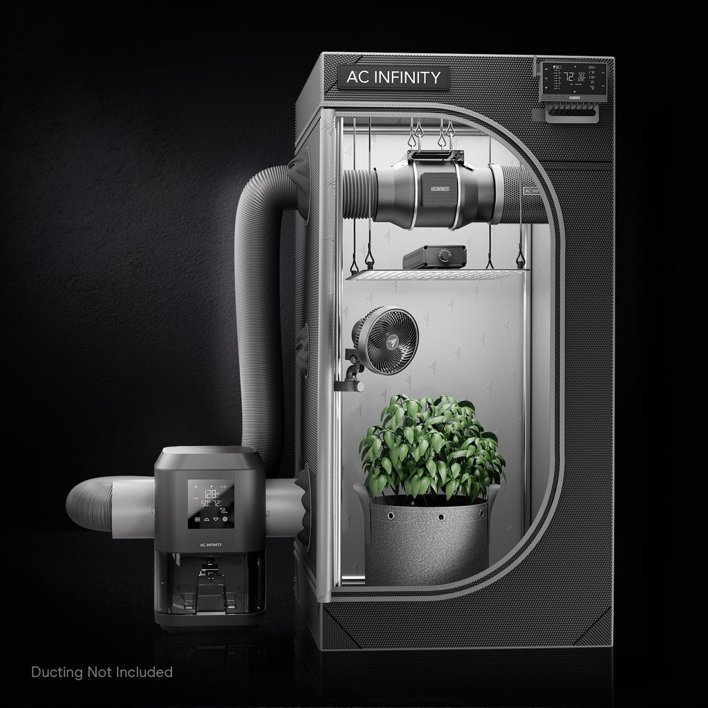 AC Infinity HYDRONE 3 Plant Dehumidifier w/ VPD Humidity Controls product image 9