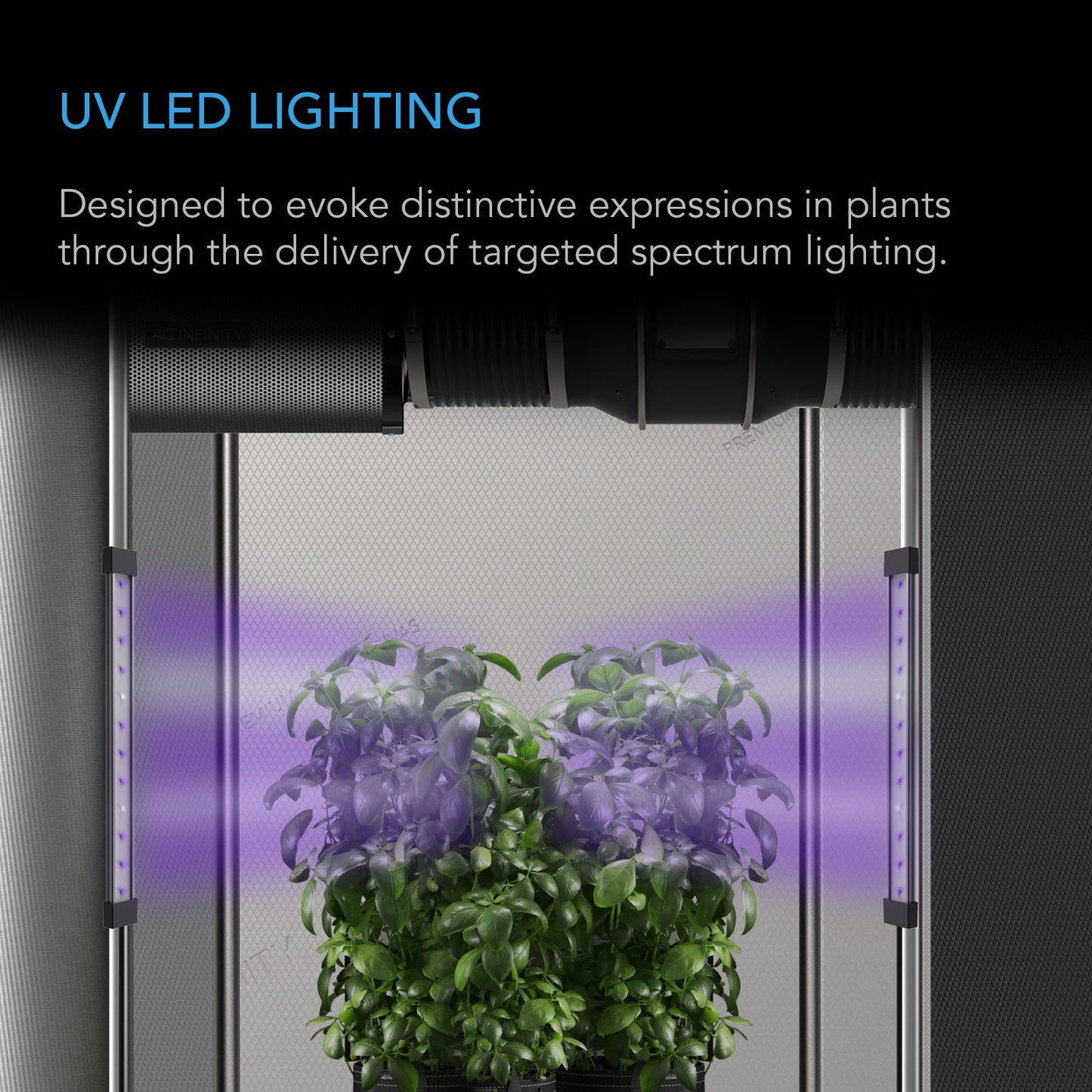 AC Infinity IONBEAM U2 Targeted Spectrum UV LED Grow Light Bars 2-Bar product image 3