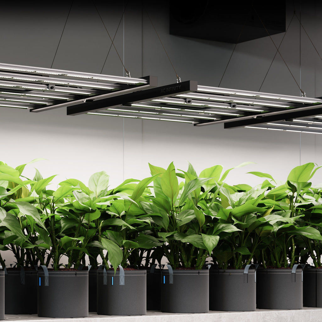 AC Infinity IONFRAME EVO6 500W Samsung LM301H EVO Commercial LED Light product image 10