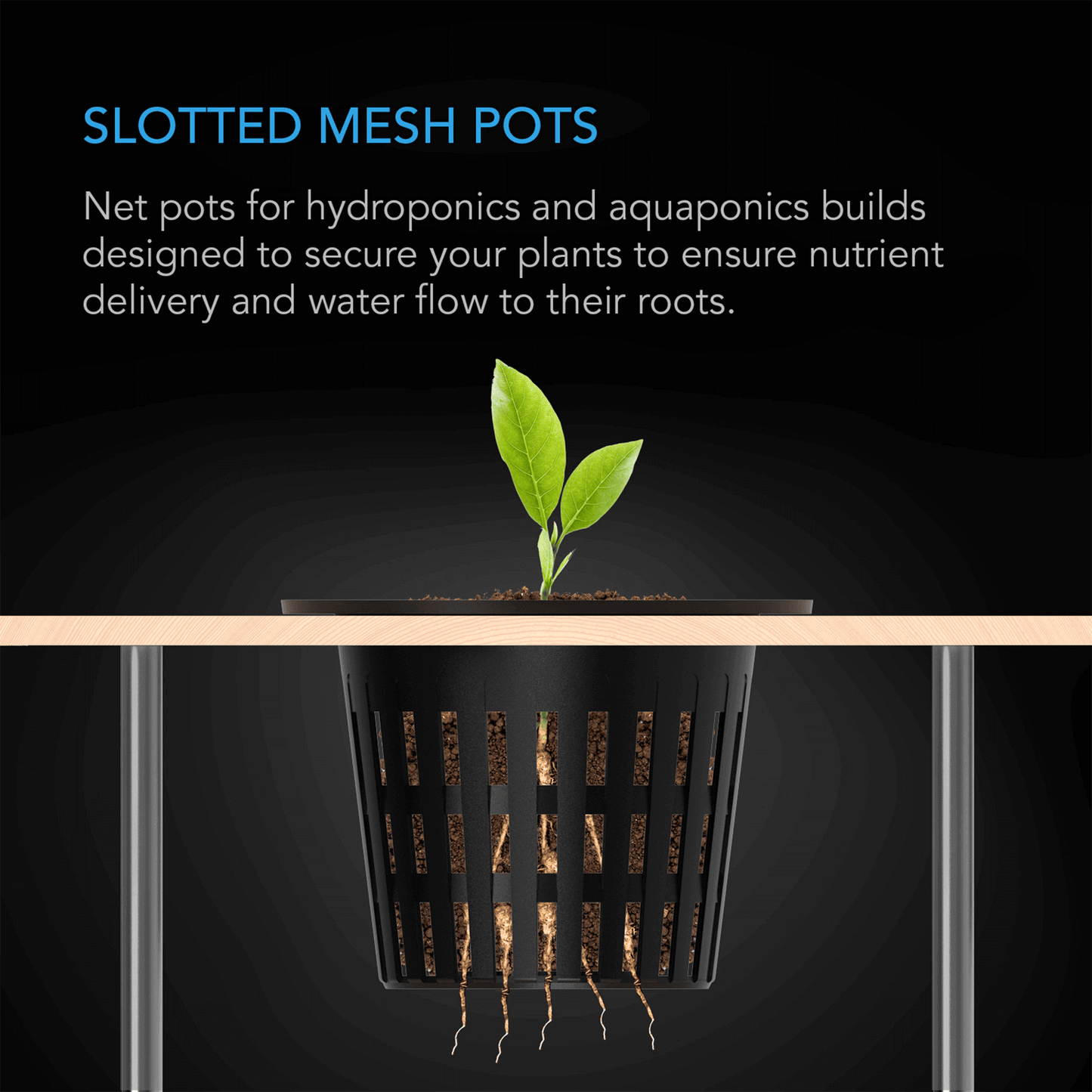 AC Infinity Mesh Net Cup for hydroponics, slotted pot with a seedling, enhances root growth and nutrient flow, 2-inch size.