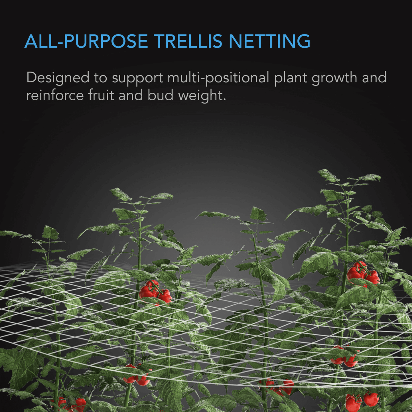 AC Infinity Polyester Plant Trellis Netting, 5x15' | AC-TNA15 | Grow Tents Depot | Grow Tents | 819137021594