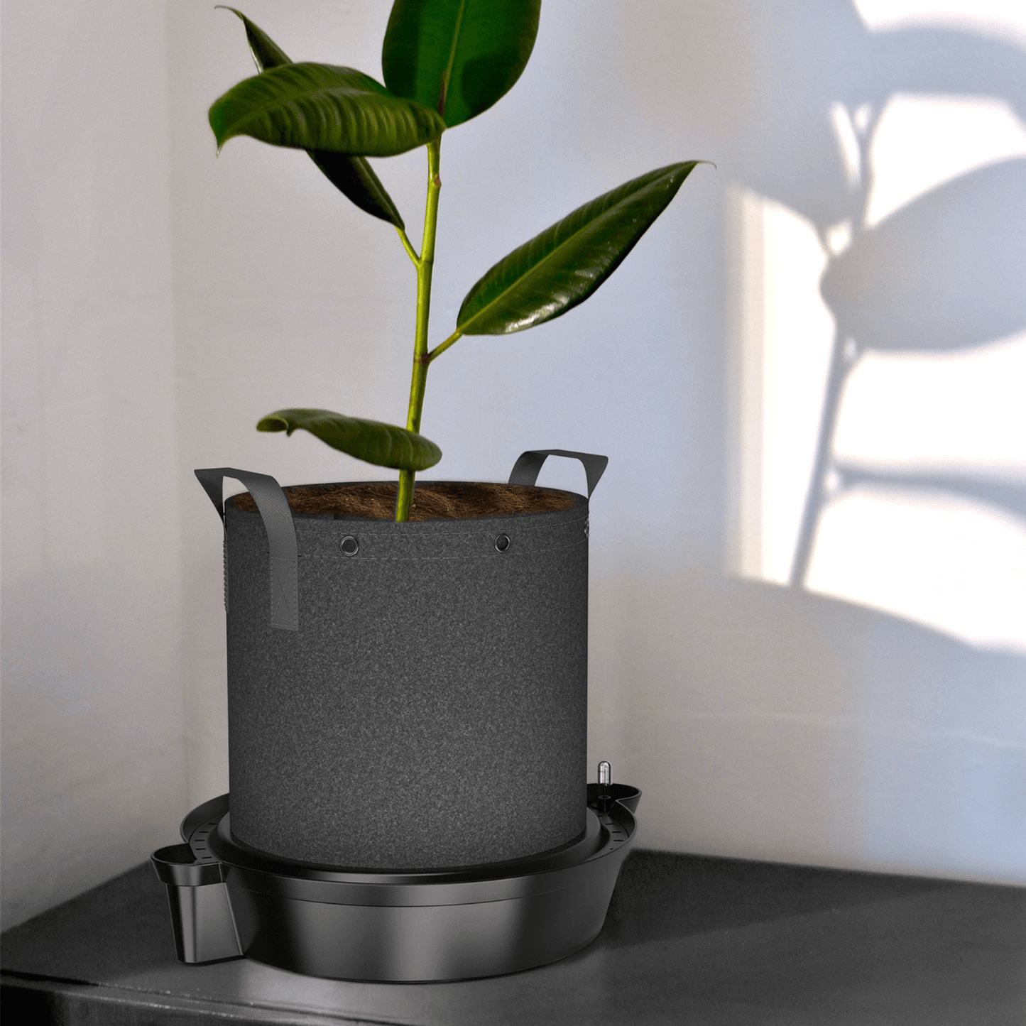 Self-watering fabric pot base with plant on a drip tray in sunlight.