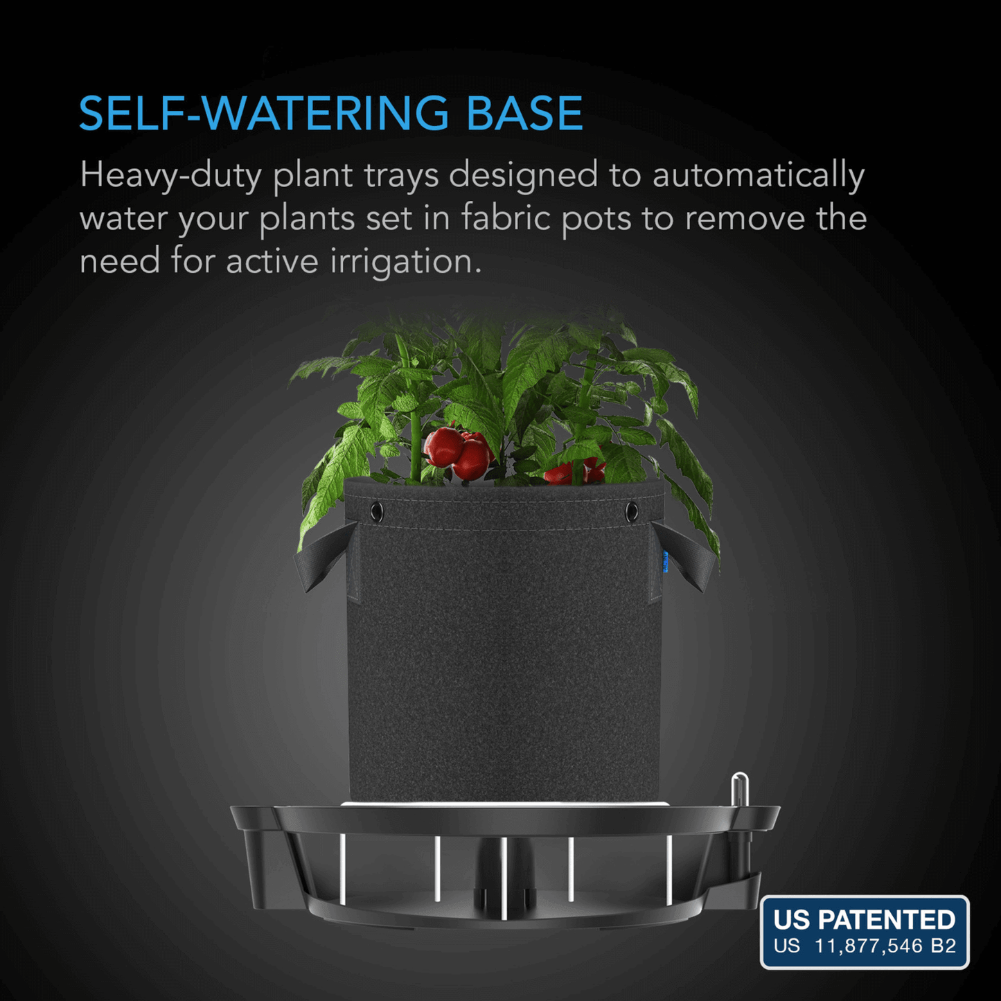 AC Infinity self-watering base with fabric pot and plant, patented design for efficient root hydration, eliminates active irrigation.