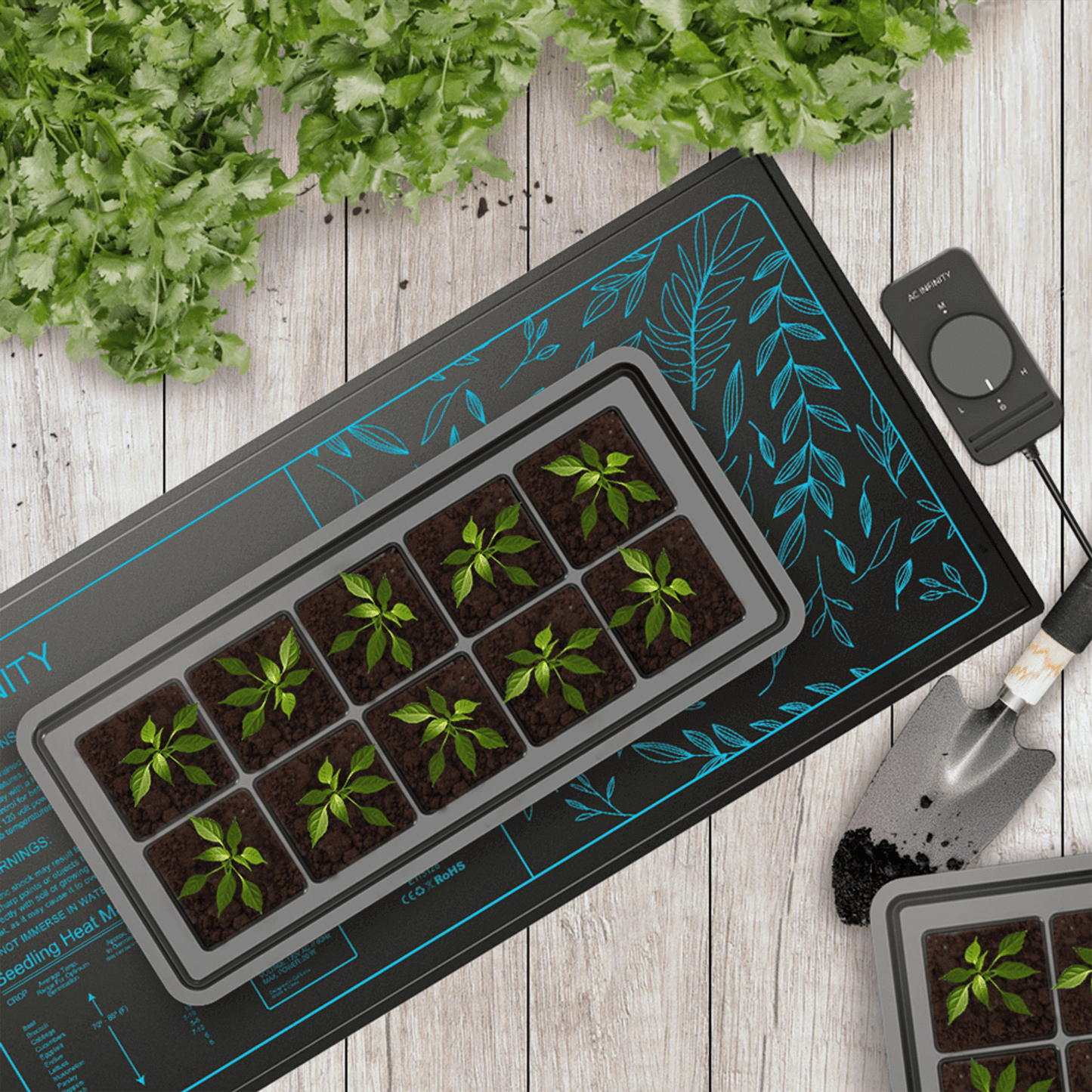 "AC Infinity SUNCORE A3X2 heat mat setup with seedlings, illustrating indoor germination process with controller on wooden background."