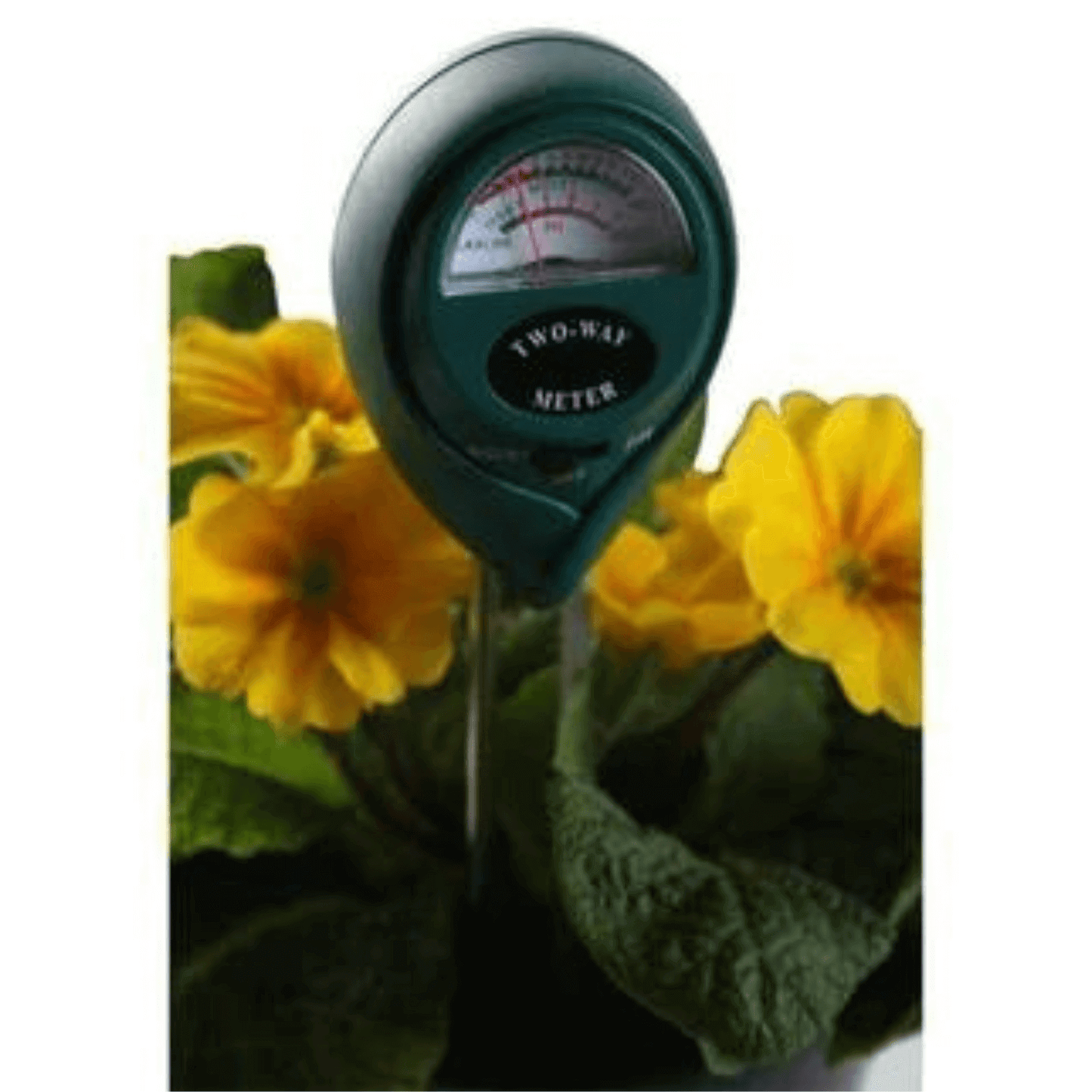Active Air 2-Way Moisture/pH Meter MGMP1 Planting & Watering