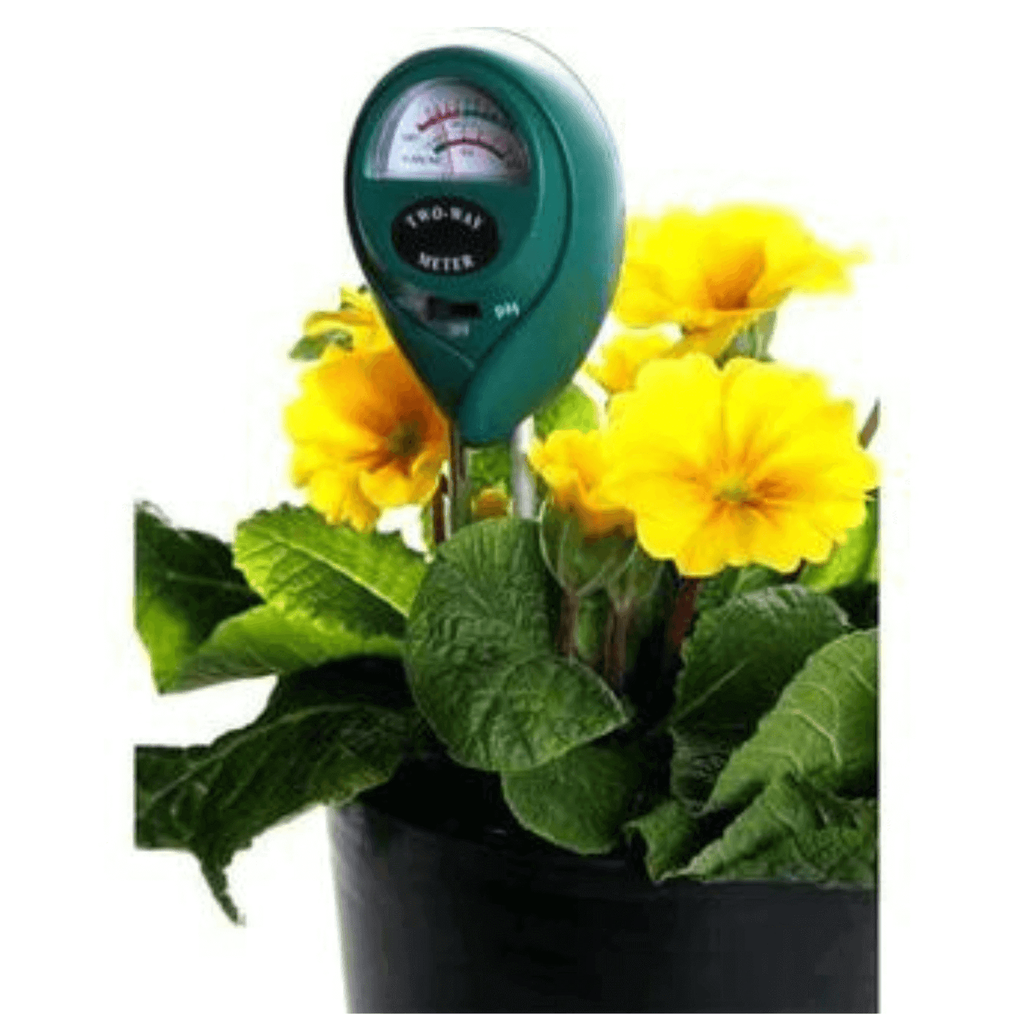 Active Air 2-Way Moisture/pH Meter MGMP1 Planting & Watering