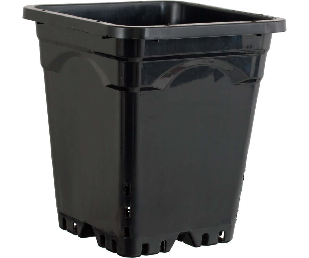 Active Aqua 12" x 12" Square Black Pot 12" Tall case of 24 product image 1