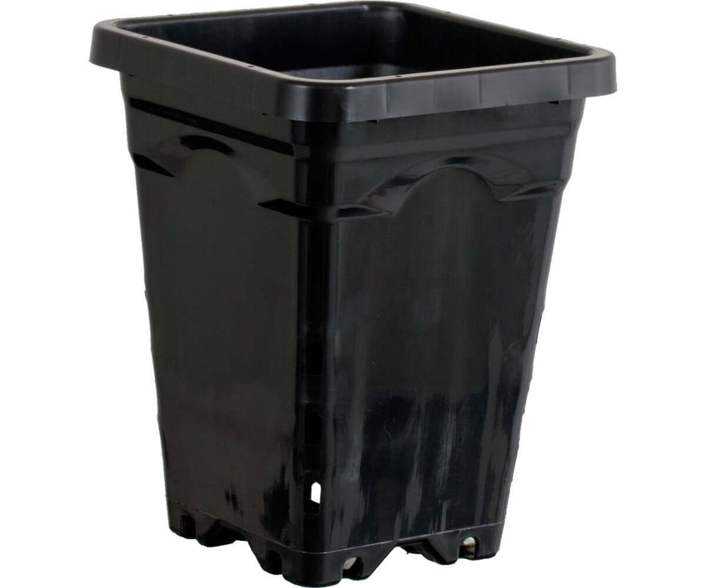 Active Aqua 5" x 5" Square Black Pot 7" Tall case of 100 product image 1